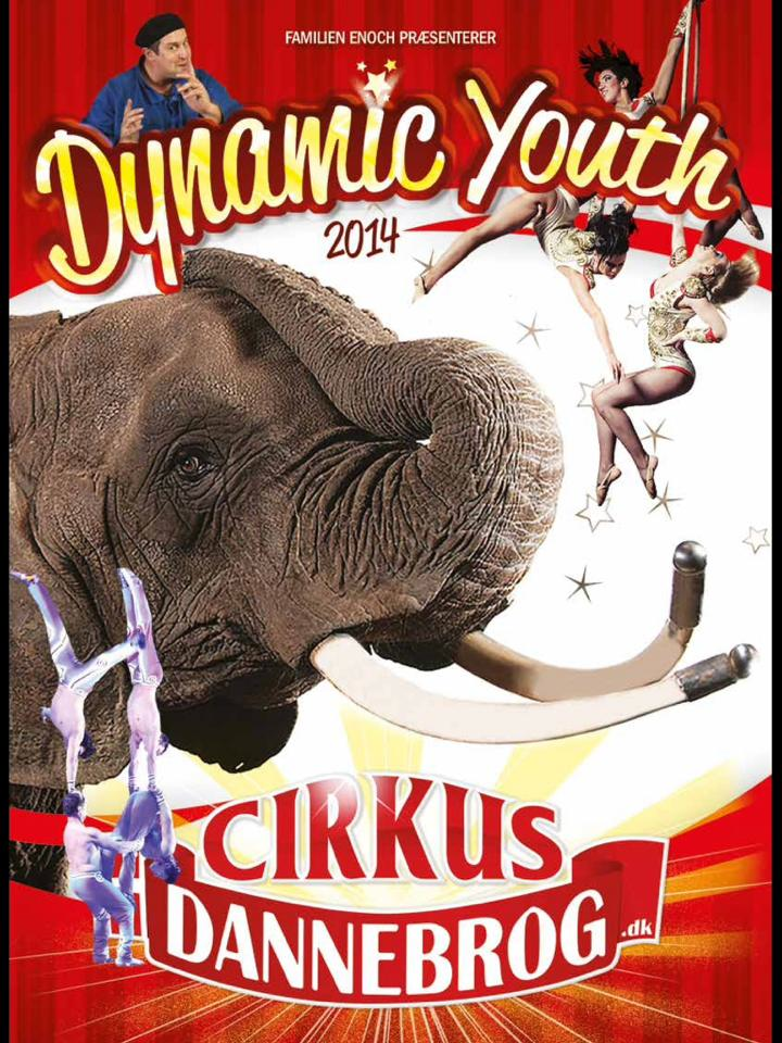 dannebrog-poster-2014